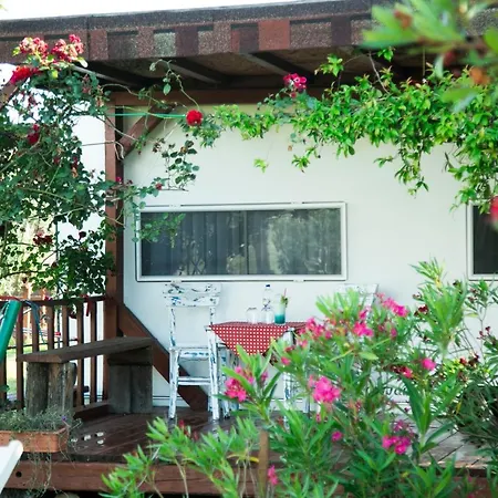 Camping Cunda Fora Glamping