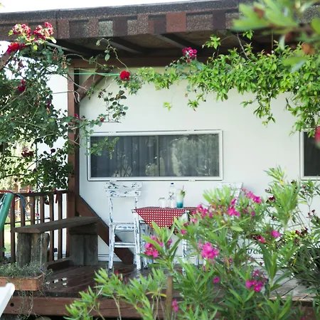 Hotel Cunda Fora Glamping *