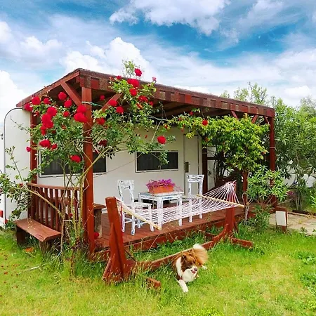 Cunda Fora Glamping Hotel *