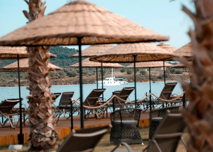 Cunda Fora Glamping * Sefacamlik