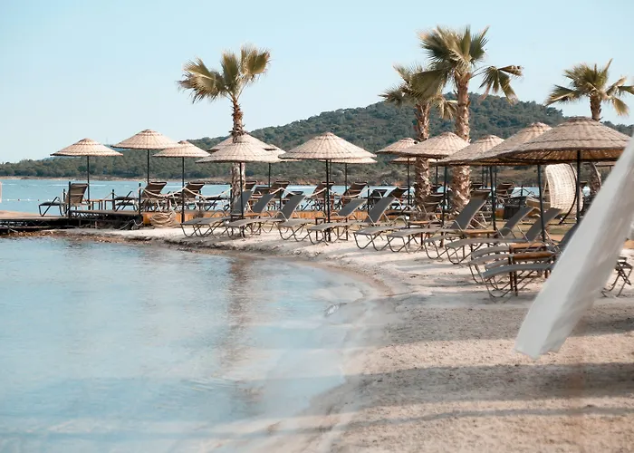 Hotel Cunda Fora Glamping *