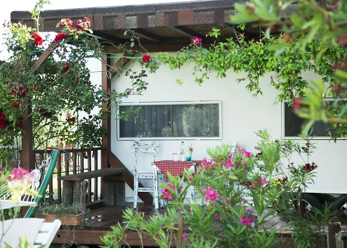 Hotel Cunda Fora Glamping *