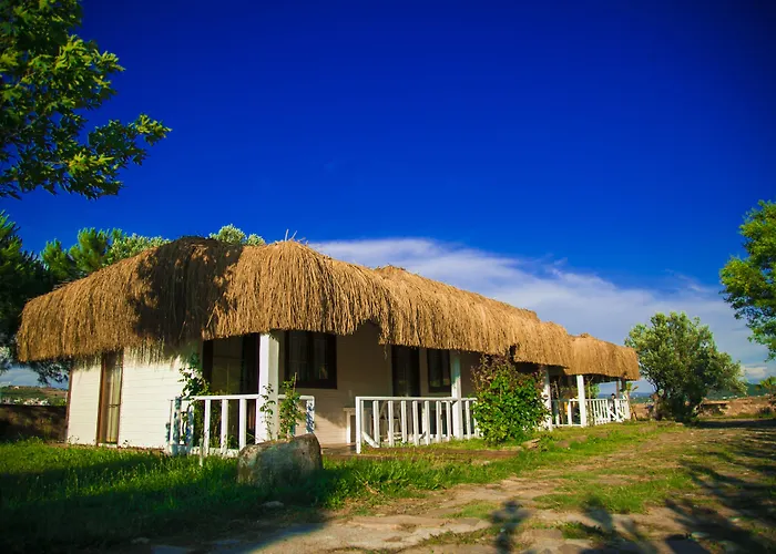 Cunda Fora Glamping Hotel