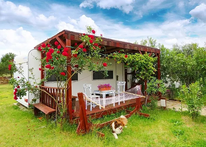 Cunda Fora Glamping Hotel *